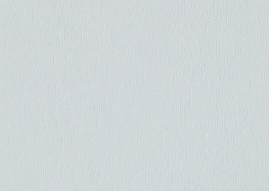 Gris clair veiné RAL 7035